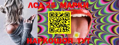 apvp Жуковский