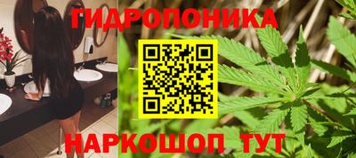 крисы Заволжье