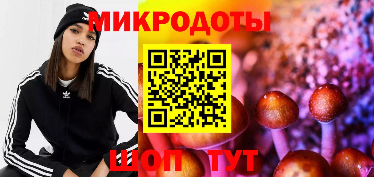 Псилоцибиновые грибы ЛСД  Вход с VPN  Спасск-Дальний  Псилоцибиновые грибы GOLDEN TEACHER 